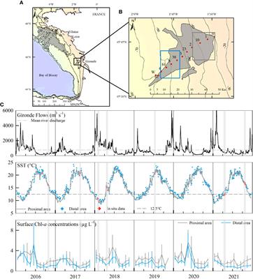 First observations of seasonal bottom water deoxygenation off the Gironde estuary (Bay of Biscay, North East Atlantic)